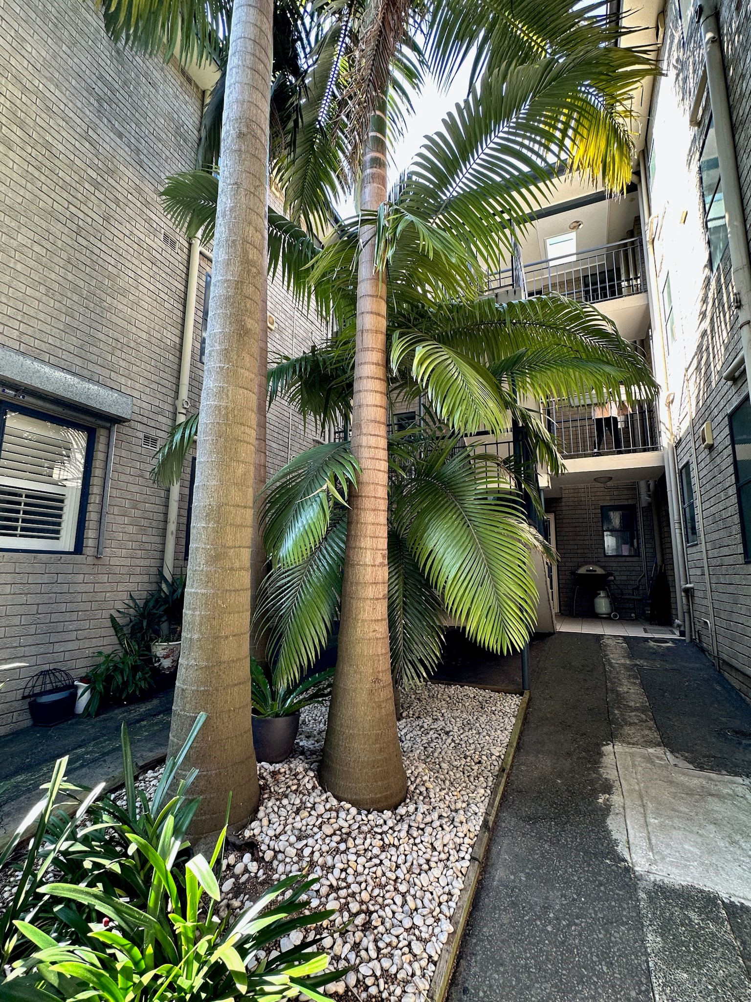 9/42 Arthur Street, BALMAIN, NSW 2041 Australia